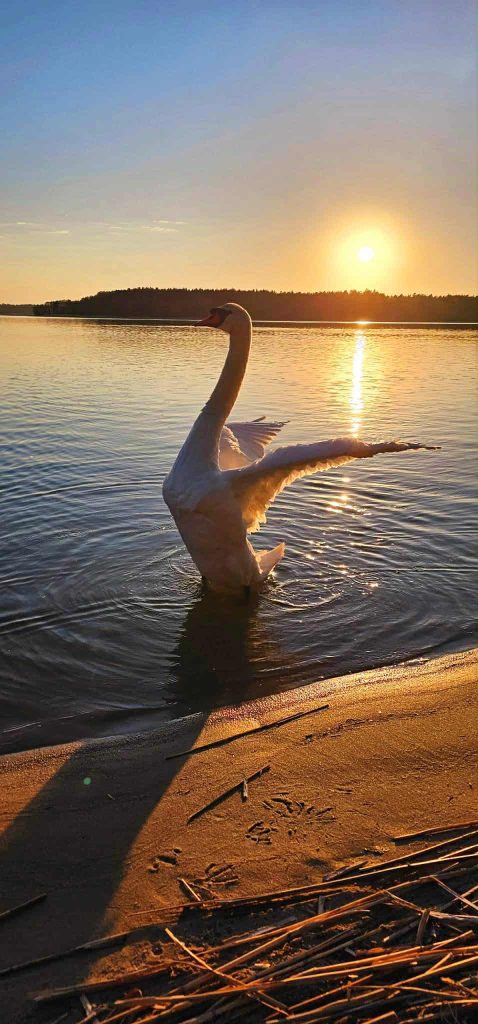 eb386aad 62d3 48fa 9a94 fe8fd97dd033