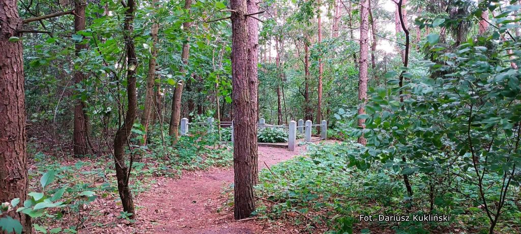 dąbek ogólny widok miejsca pamięci