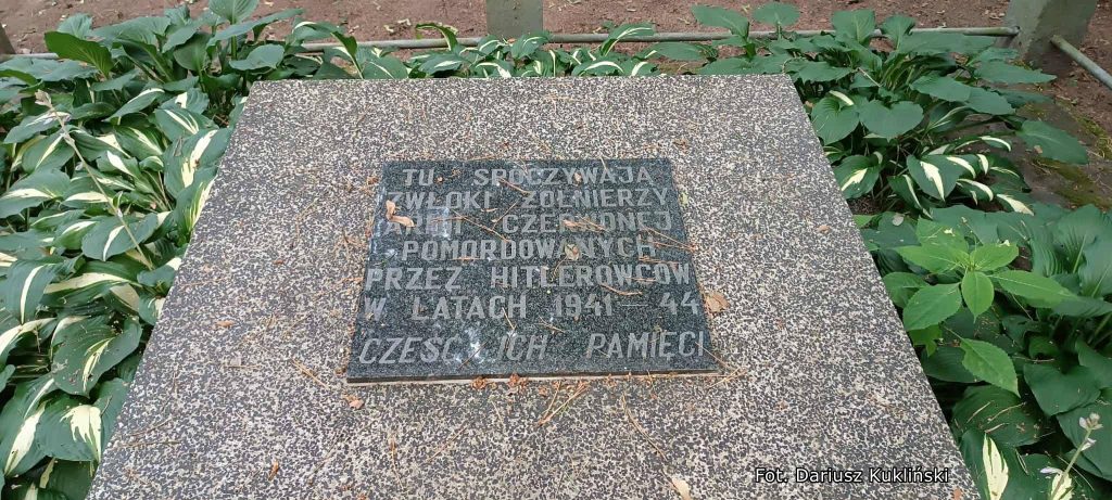 dąbek pamiątkowa tablica