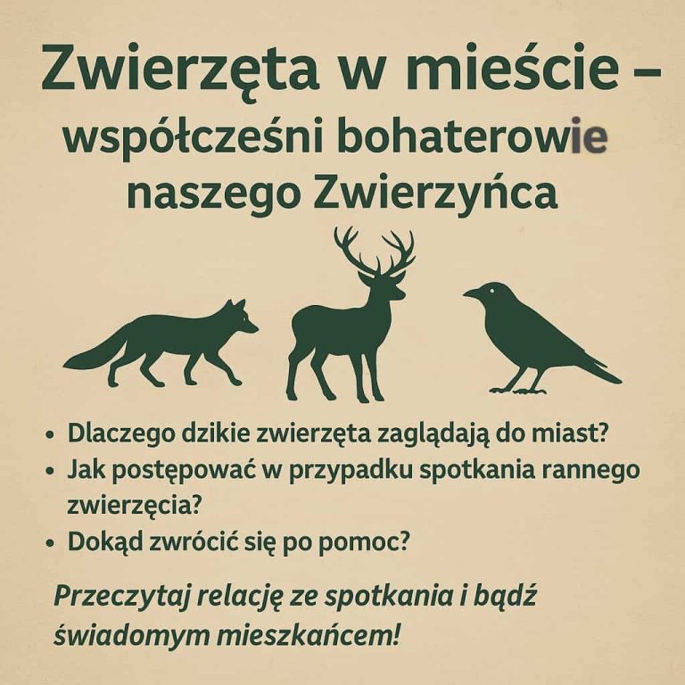 zwierzęta w mieście
